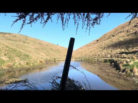 Few clips from opening day 2024 nz duck shooting
