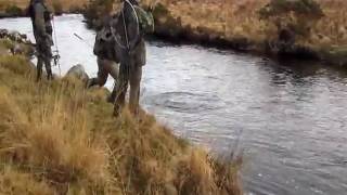preview picture of video 'First Salmon of the season from the Gaoth Beara'