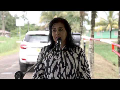 Description or Alt Text