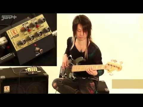 FIREが徹底試奏！EDEN Pedal Preamp WTDI