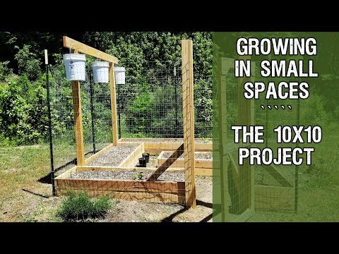 Growing in Small Spaces The 10x10 Project