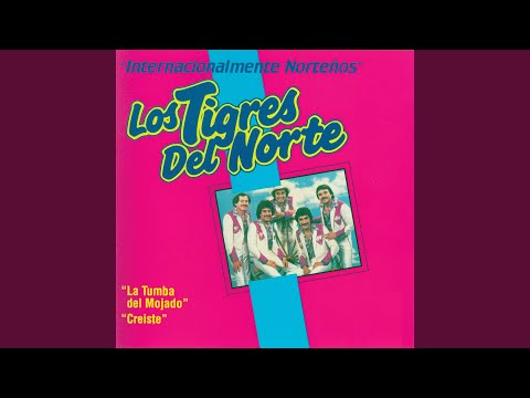Videoclip de La Tumba Del Mojado — Los Tigres del Norte