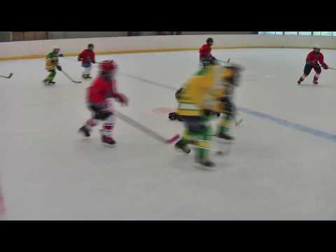 2009 - Zápas s HC Rodos Dvůr Králové n. L. (6.1.2019)