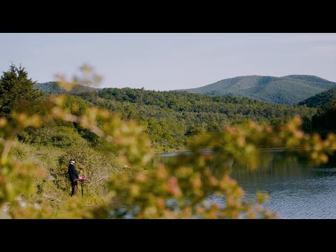 Tropidelic - Out There (Official Music Video)