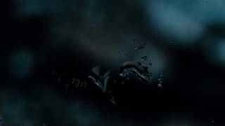 Subway to Sally - Eisblumen