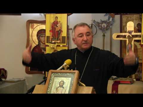 Pr. Prof. Univ. Dr. Stelian Tofană - Întrebări şi răspunsuri (Cluj, 24 feb. 2017)