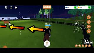 playing a roblox game with my sister