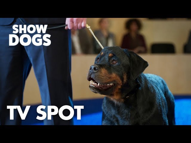 "Partners" TV Spot