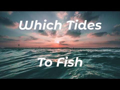 What Tides To Choose (Shore Fishing UK) - How Tides Affect Shore Fishing - Sea Fishing Tutorial