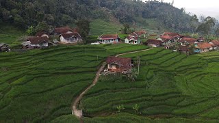 Download lagu Beginilah Syahdunya Pagi Tinggal Di Pedesaan! Pemandangan Sawah & Aktivitas Warga Bikin Adem Banget! mp3