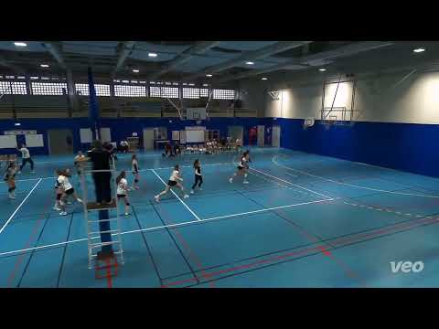 Honor Zielinski-Hoyos #15, #27 | 2029, RS/Setter - Volley16 (Austria)