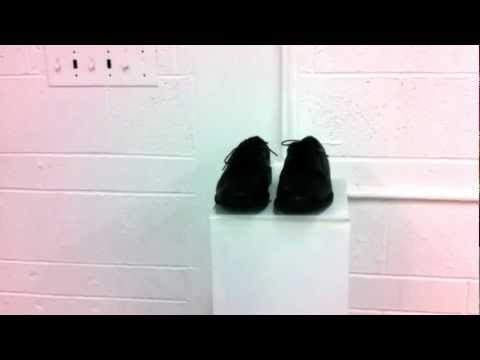 The Woodpecker's Shoes