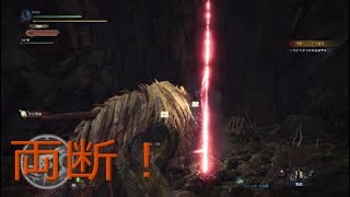 楽しいけど難しいw【MHW実況】part 2