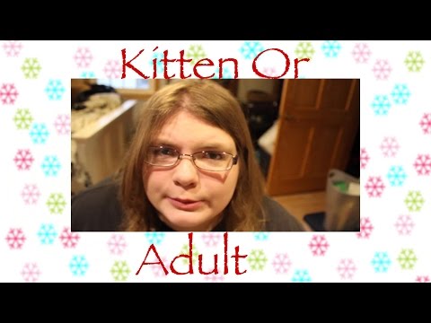 When To Switch To Adult Formula Cat Food? Petsmart Haul | Volgmas Day #4