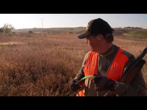 Bird Dog World Championships: Richard Sipes and Charlotte