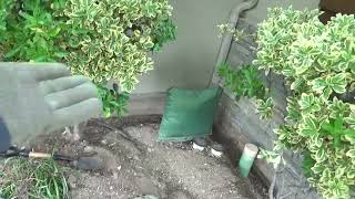 Landscape Drainage Repair for Dummies