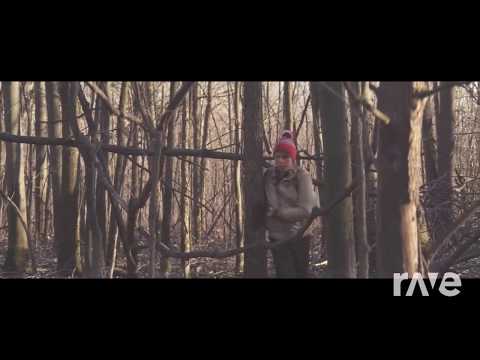 The Titanium - David Guetta & Ylvis ft. Sia | RaveDj