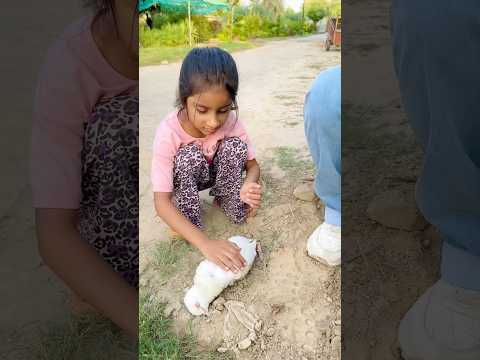 Dua ko rasty ma kya mila 🕊️💔#shorts #short #shortsfeed #youtubeshorts #help #viral #viralvideo