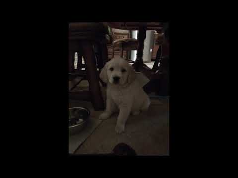 SMOOSSY  - BEGINNER Mix #9 (Mini Mix)