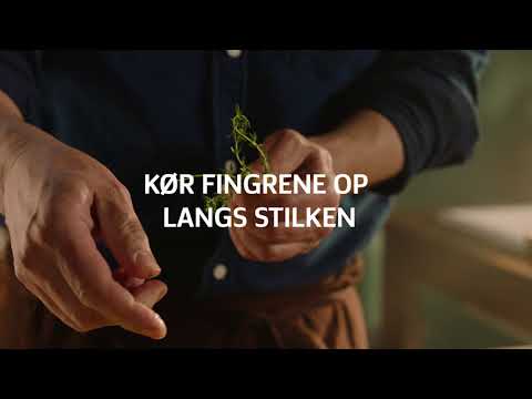 Pluk timian foodhack