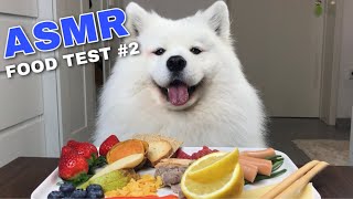 ASMR Dog Reviewing Different Types of Food #2 I MAYASMR