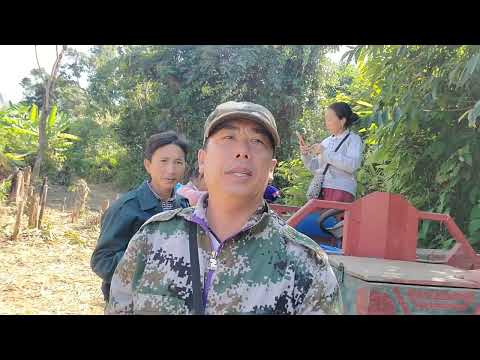 mus saib qub zogpham maij daim 2