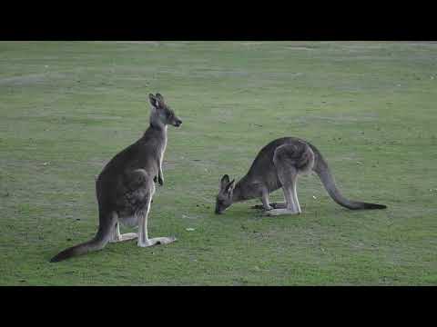 Unveiling the Secrets of 13 July 2023