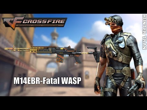 CrossFire VN 2.0 - M14EBR Fatal WASP [FFA Gameplay]