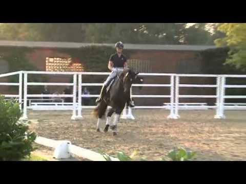 Lemony's Nicket 2012