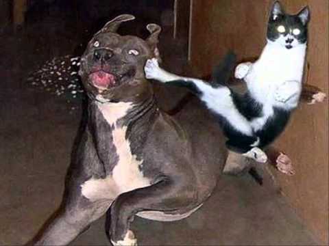 Ich singe: Bonnie Tyler - It´s a heartache.wmv