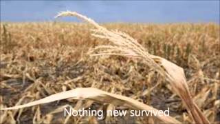 The Sisters by Renaissance 1977