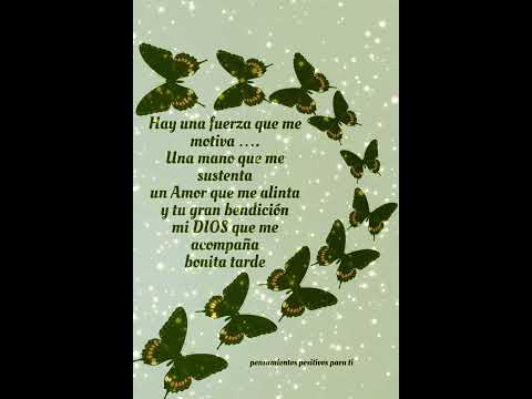 Vídeo: Frases Foto: perguntas e respostas