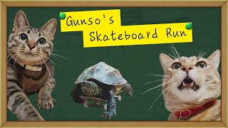Gunso's Skateboard Run PV