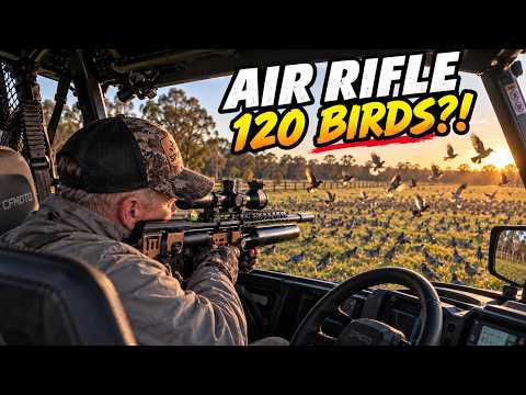 120 Birds Down - Air Rifle Pest Control Day to Night | .22 & .25 Cal PCP Shooting