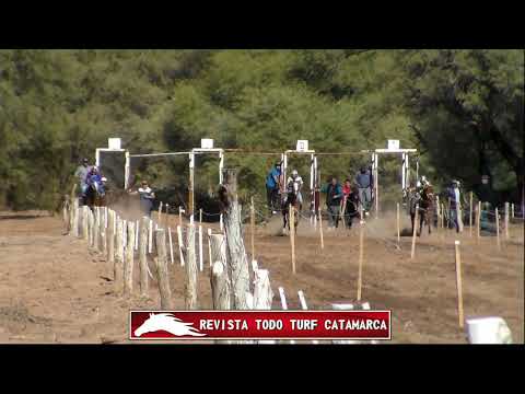 REVISTA TODO TURF CATAMARCA DON FRANCISCO 25/05/2023