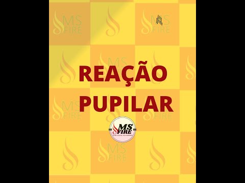 O QUE É REAÇÃO PUPILAR? QUAL A DIFERENÇA?