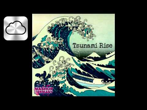 Mashup Germany   Tsunami Rise Heads will roll Edit