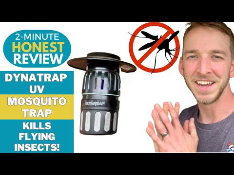 DynaTrap Mosquito & Flying Insect (2-Min Honest Review)
