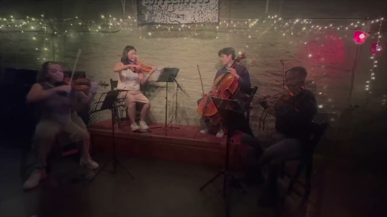 Promotional video thumbnail 4 for Alyssa Kim Violin