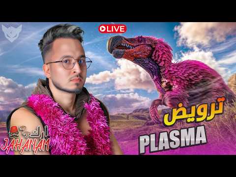 CHeDiD Live 7  🕌  :   ARK Survival CHeRFa 🦑 أجي نروضو   PLAZMA 🐲