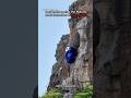 Balaji Face On Hill Venkateshwara Face On Hill Tirupati Ytshorts Shorts