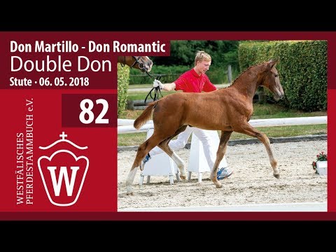 082 Double Don SF v. Don Martillo - Don Romantic