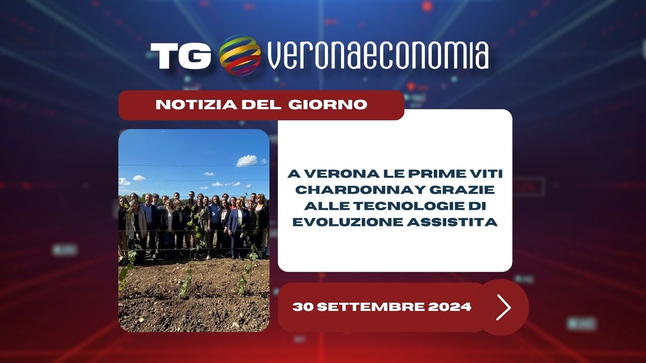 Descrizione dell'immagine