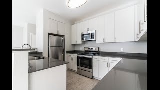 1-Bedroom 1-Bathroom Apartment AVAILABLE NOW at Willow Lake Apartments in San Jose, CA