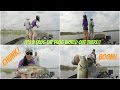 Big Bag of Bass on Lake Palestine; Frog Snatchin' & Schoolin' Action!!