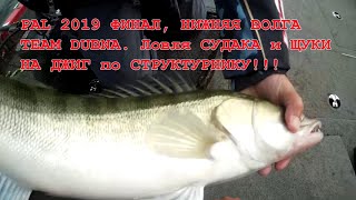 Рыбалка на нижней волге в августе 2020 форум