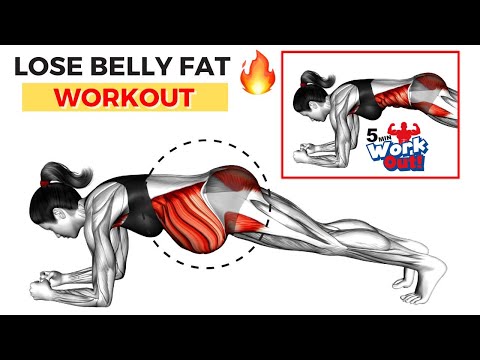 5 Minute Plank Workout To Your Stubborn Belly Fat Different Planks to get 6 Pack Abs 5 Min Workout