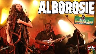 Alborosie - Herbalist | Can't Cool | Rock The Dancehall @ Reggae Jam 2016