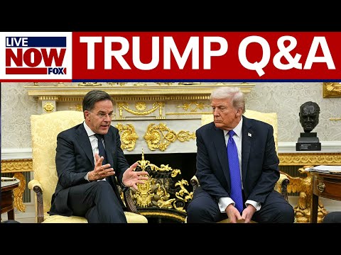 President Trump meets with NATO secretary general |  LiveNOW from FOX