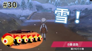 【女性実況】6匹で1匹のポケモン！そしてトンネルを抜けると…！_#30【ポケモンシールド】